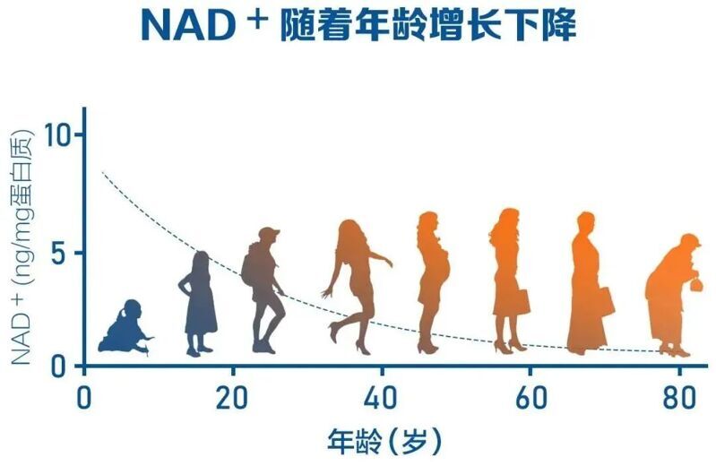 微信图片_2025-08-04_153701_759
