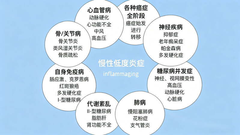 50%的癌症与慢性炎症有关！干细胞给出“解决方案”