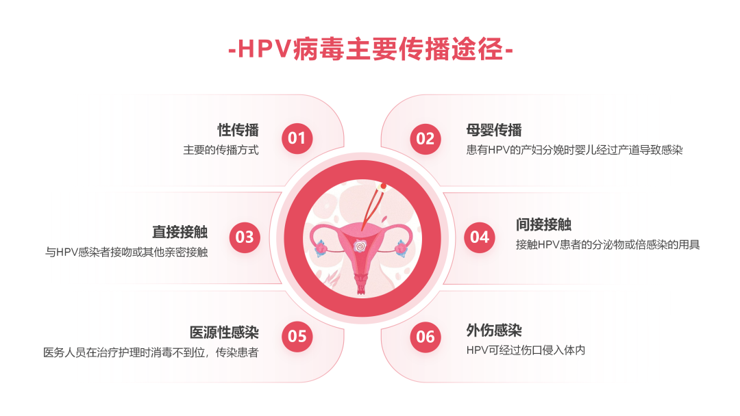 女性健康必修课！对抗HPV，DC细胞比你想的更“靠谱”