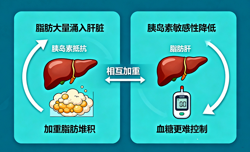 怒赞！逆转脂肪干：中国科学家破解干细胞“糖脂双调”密码