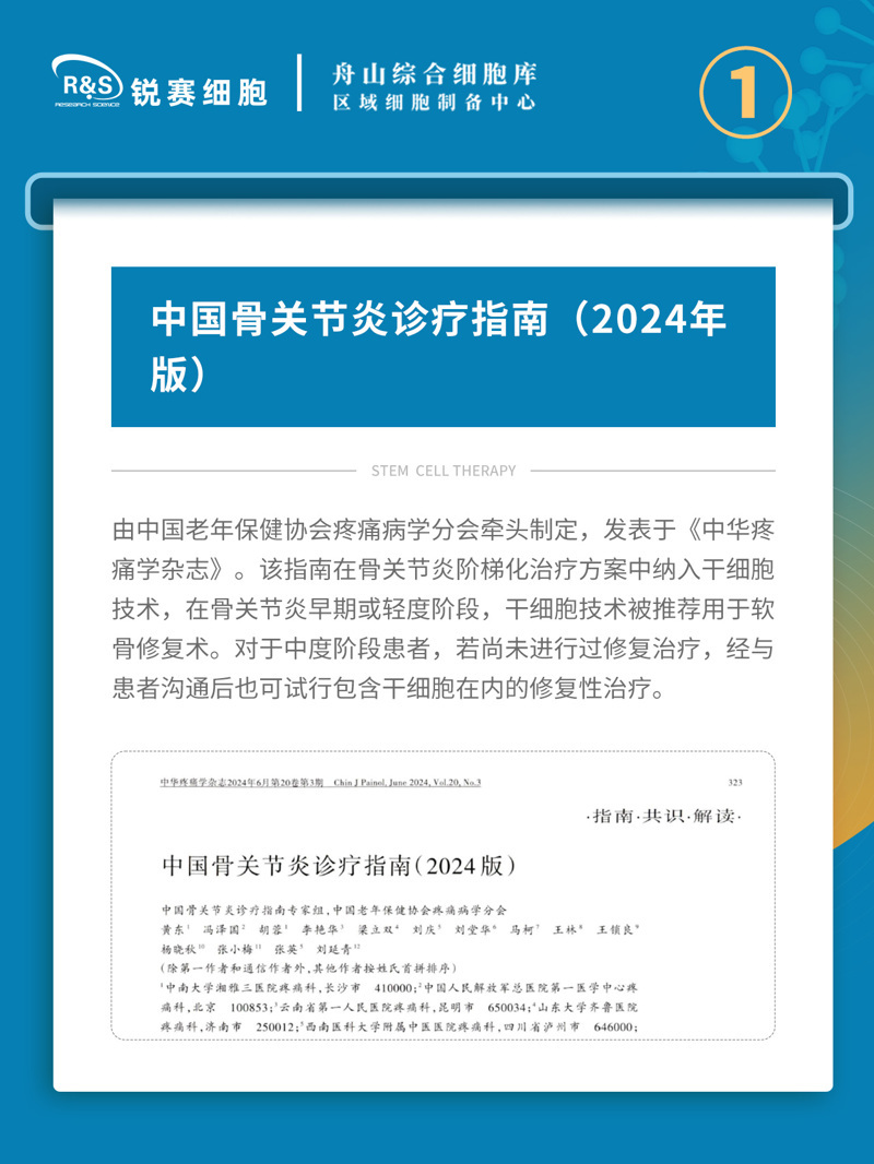 中国骨关节炎诊疗指南(2024版)