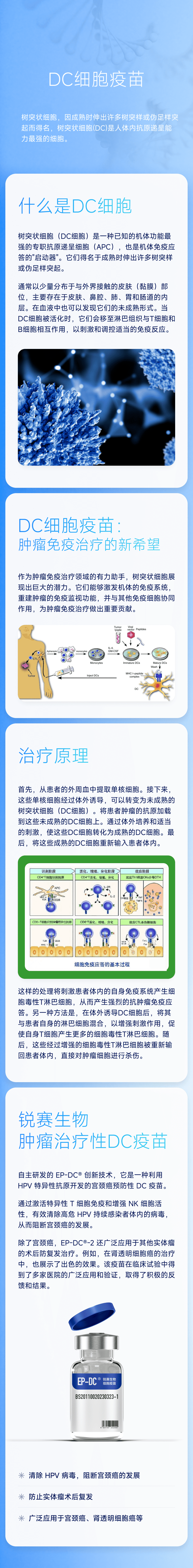 DC细胞疫苗